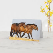 Bob Langrish | Drei andalusische Mares laufen Karte (Gelbe Blume)