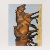 Bob Langrish | Drei andalusische Mares laufen Puzzle (Vertikal)