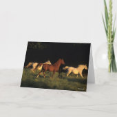 Bob Langrish drei Araber, die im Abend leuchten Karte (Vorderseite)