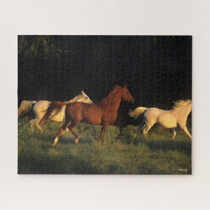 Bob Langrish drei Araber, die im Abend leuchten Puzzle