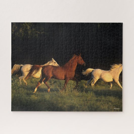 Bob Langrish drei Araber, die im Abend leuchten Puzzle (Horizontal)