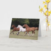 Bob Langrish | Drei Arabische Pferde, die zusammen Karte (Gelbe Blume)