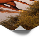 Bob Langrish Drei Arabische Pferde Stehend bei Son Poster (Ecke)