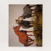 Bob Langrish Drei Arabische Pferde Stehend bei Son Puzzle (Vertikal)