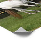 Bob Langrish | Drei graue andalusische Ärzte sprin Poster (Ecke)