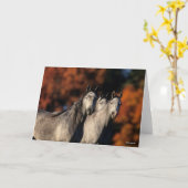 Bob Langrish | Drei graue Araber Stehend zusammen Karte (Gelbe Blume)