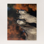 Bob Langrish | Drei graue Araber Stehend zusammen Puzzle (Vertikal)