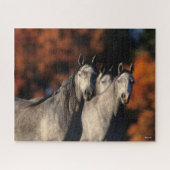 Bob Langrish | Drei graue Araber Stehend zusammen Puzzle (Horizontal)