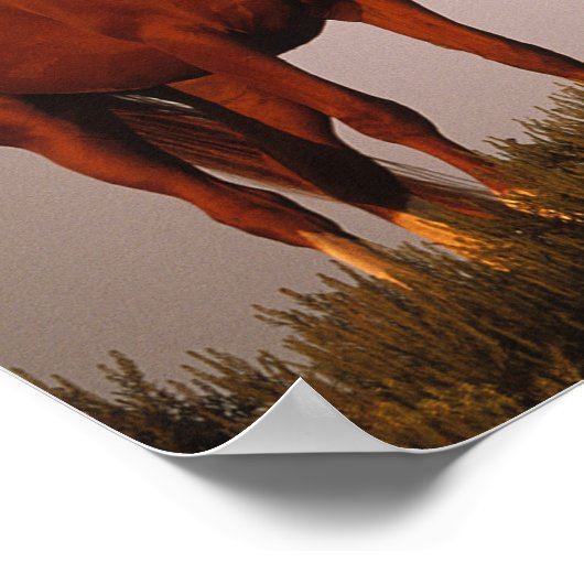 Bob Langrish | Drei in Sonnenuntergang Stehende Ar Poster (Ecke)