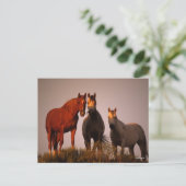 Bob Langrish | Drei in Sonnenuntergang Stehende Ar Postkarte (Stehend Vorderseite)