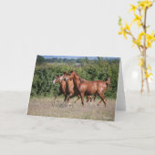 Bob Langrish | Drei Kastanienpferde Karte (Gelbe Blume)