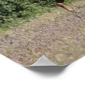 Bob Langrish | Drei Kastanienpferde Poster (Ecke)