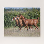 Bob Langrish | Drei Kastanienpferde Puzzle (Horizontal)