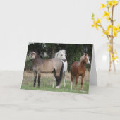 Bob Langrish | Drei miteinander Stehende Ponys Karte (Gelbe Blume)