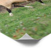 Bob Langrish | Drei Ponys, die zusammenlaufen Poster (Ecke)