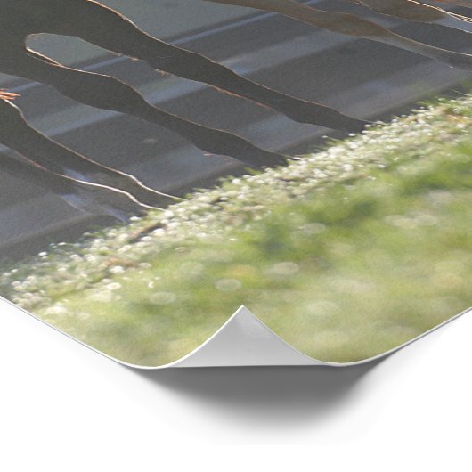 Bob Langrish | Drei Viertel Pferdejunge Poster (Ecke)