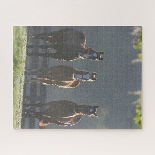 Bob Langrish | Drei Viertel Pferdejunge Puzzle (Horizontal)