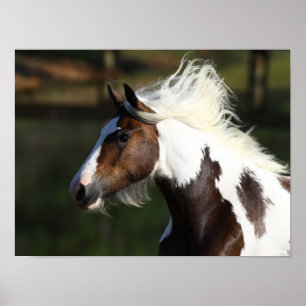 Bob Langrish   Drum Horse Headshot Poster