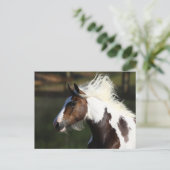 Bob Langrish | Drum Horse Headshot Postkarte (Stehend Vorderseite)