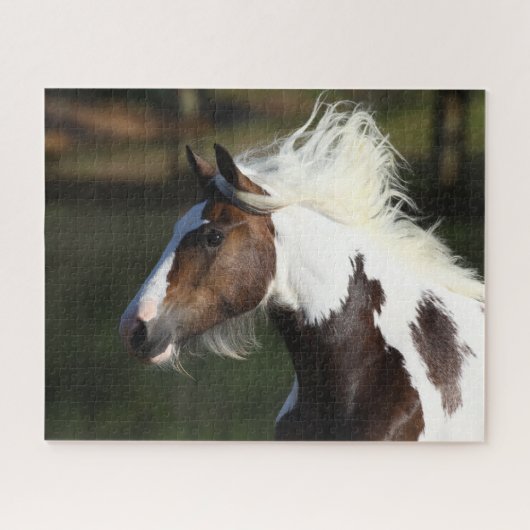 Bob Langrish | Drum Horse Headshot Puzzle (Horizontal)