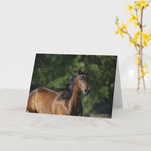 Bob Langrish | Dunkler Bay Quarter Horse Headshot Karte (Gelbe Blume)