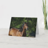 Bob Langrish | Dunkler Bay Quarter Horse Headshot Karte (Vorderseite)