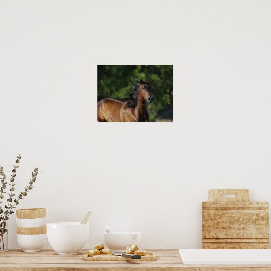 Bob Langrish | Dunkler Bay Quarter Horse Headshot Poster (Küche)