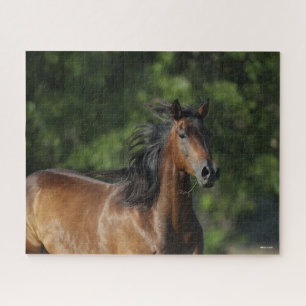 Bob Langrish   Dunkler Bay Quarter Horse Headshot Puzzle