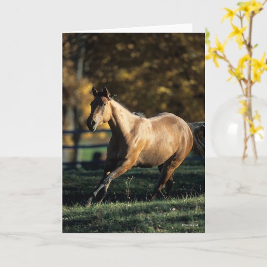 Bob Langrish | Durchlaufpferd im Dun Quarter Karte (Gelbe Blume)