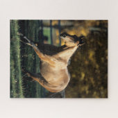 Bob Langrish | Durchlaufpferd im Dun Quarter Puzzle (Horizontal)