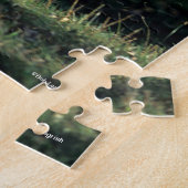 Bob Langrish | Durchlaufpferd im Dun Quarter Puzzle (Seite)