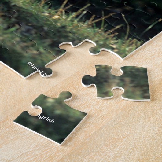 Bob Langrish | Durchlaufpferd im Dun Quarter Puzzle (Seite)