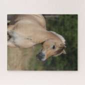 Bob Langrish | Fjord Pferd Stehend Headshot Puzzle (Horizontal)