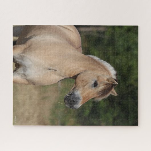 Bob Langrish | Fjord Pferd Stehend Headshot Puzzle (Horizontal)