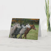 Bob Langrish | Four Arab Horses Racing Headshot Karte (Vorderseite)