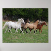 Bob Langrish | Four Ponies Running Together Poster (Vorne)