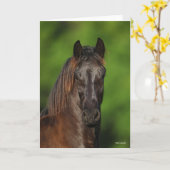 Bob Langrish | Friesian Horse Headshot Karte (Gelbe Blume)