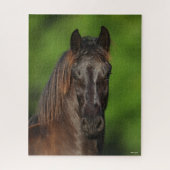 Bob Langrish | Friesian Horse Headshot Puzzle (Vertikal)