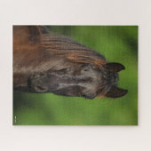Bob Langrish | Friesian Horse Headshot Puzzle (Horizontal)