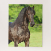 Bob Langrish | Friesian Horse Stehend Headshot Puzzle (Vertikal)