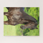 Bob Langrish | Friesian Horse Stehend Headshot Puzzle (Horizontal)
