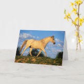 Bob Langrish | Grau Arab Walking Karte (Gelbe Blume)