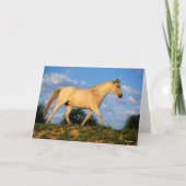 Bob Langrish | Grau Arab Walking Karte (Vorderseite)