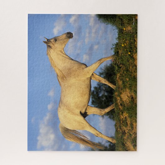 Bob Langrish | Grau Arab Walking Puzzle (Vertikal)