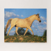 Bob Langrish | Grau Arab Walking Puzzle (Horizontal)