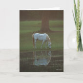 Bob Langrish | Grau-Arabische Grazing Water Reflec Karte (Vorderseite)