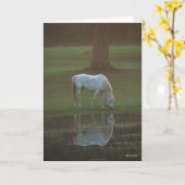 Bob Langrish | Grau-Arabische Grazing Water Reflec Karte (Gelbe Blume)