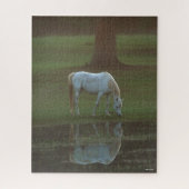 Bob Langrish | Grau-Arabische Grazing Water Reflec Puzzle (Vertikal)