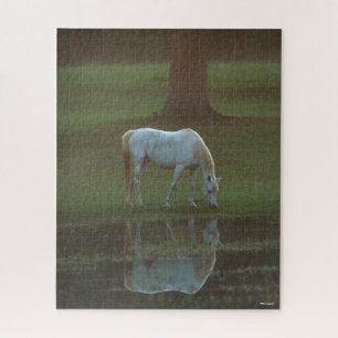 Bob Langrish   Grau-Arabische Grazing Water Reflec Puzzle