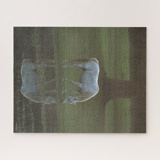 Bob Langrish | Grau-Arabische Grazing Water Reflec Puzzle (Horizontal)